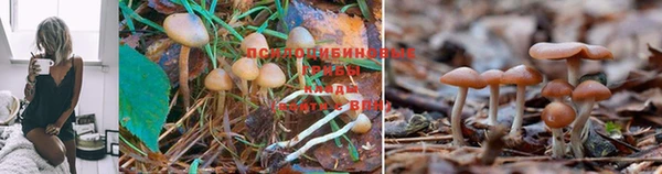 кокаин перу Заводоуковск