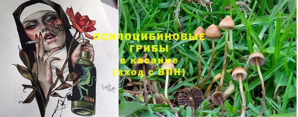 кокаин перу Заводоуковск
