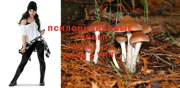 бутират Заволжье