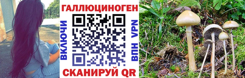 кракен ТОР  Черняховск  Галлюциногенные грибы ЛСД 